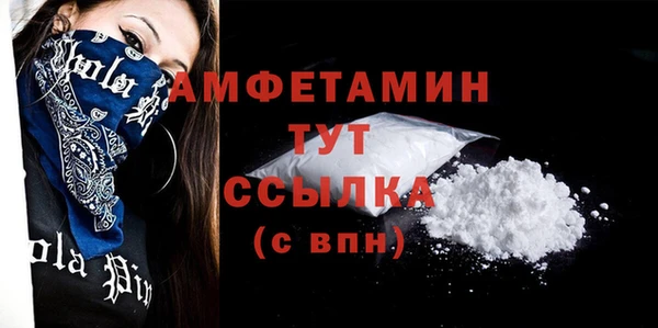 PSILOCYBIN Богданович