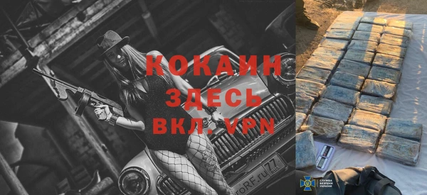 PSILOCYBIN Богданович