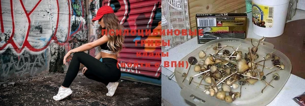 мяу мяу мука Богородицк