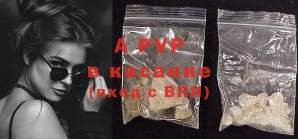 PSILOCYBIN Богданович