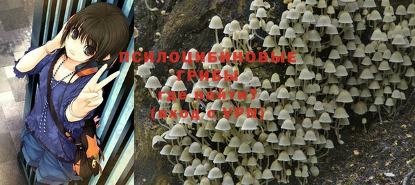 мяу мяу мука Богородицк