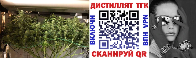 Дистиллят ТГК концентрат  Купить закладки  Аргун 