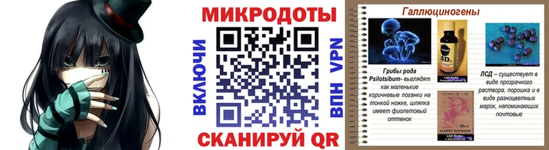 Галлюциногенные грибы Psilocybe  Купить закладки  Аргун 